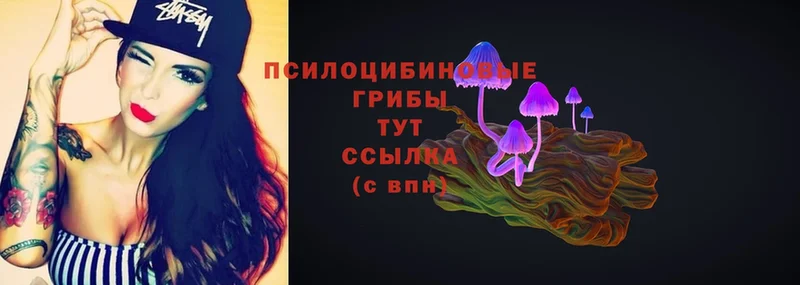 mega ссылка  Разумное  Псилоцибиновые грибы Psilocybe 